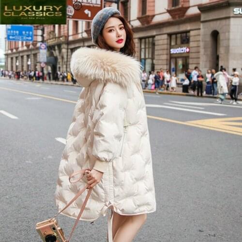 Jacket Down Womens Winter Hooded Coat Female Jacket Korean Woman Parkas Raccoon Dog Fur Collar 2021 Mujeres Abrigos Pph1319