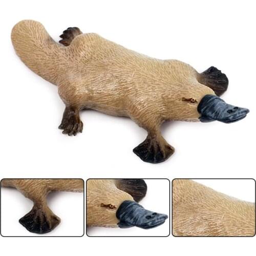 Realistic Platypus Animal Figurine Sculpture Model Desktop Decor Kids Toy For Kids Birthday christmas Gift