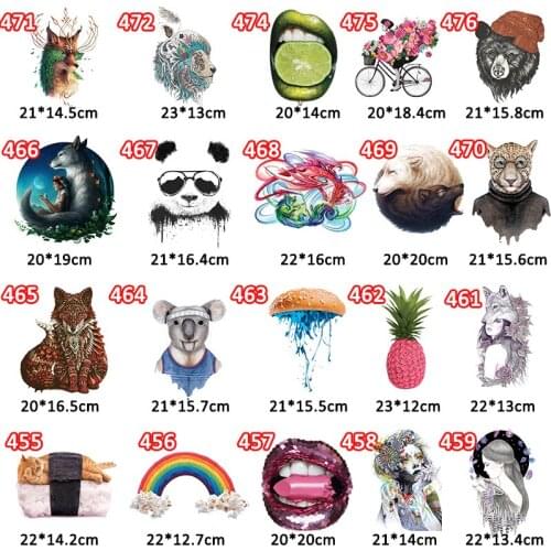 3PCS/Set Heat Transfer Fox Dragon Koala Animals Lady Washable Patches On Clothes Print On T-shirt Decor Accessory 2020 New