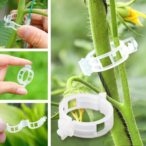 Plastic Plant Clips Supports Connects Protection Grafting Fixing Tool Gardening Supplies for Vegetable Tomato опора для растений