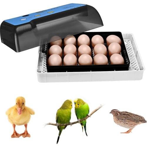 12 Eggs Incubator Brooder Bird Hatcher For Chicken Coop Duck Turner Farm Equipment Electronic Automatic Hatchery Tools