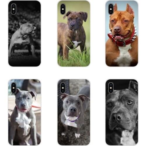 Pit Bull Lovely Pet Dog Accessories Phone Shell Covers For Huawei Y5 Y6 Y7 Y9 Prime Pro GR3 GR5 2017 2018 2019 Y3II Y5II Y6II