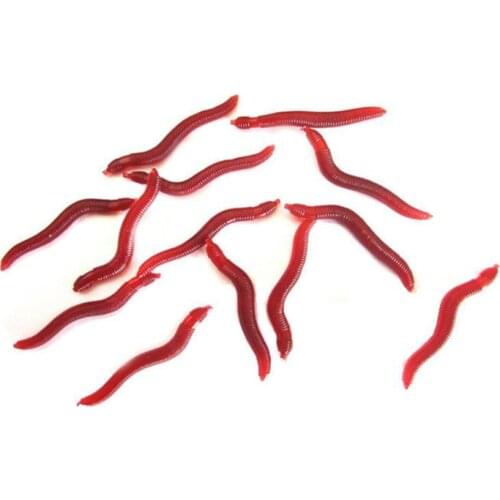 PHAT FISH Fishing Bait