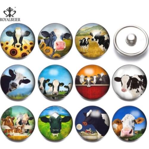 RoyalBeier 12pcs/lot Cute Owl Glass Snap Buttons 18mm Cartoon Charms For Snap Bracelet Necklace DIY Bracelet&Bangle Jewelry