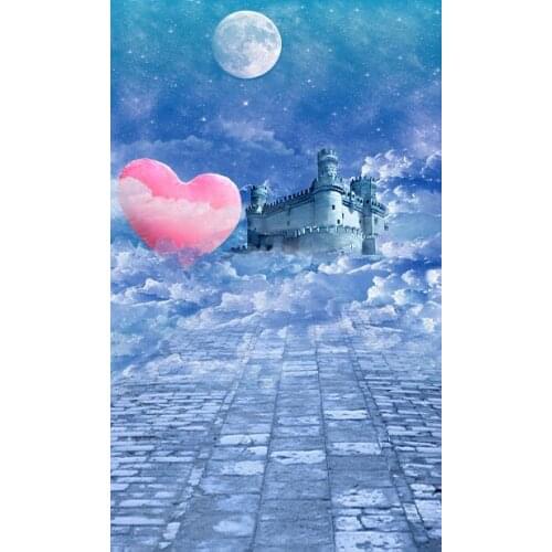 VinylBDS 5X7FT Fantasy Fairy Tale World Photography Backdrop Castle Studio Backdrop ValentineS Day Photo Background