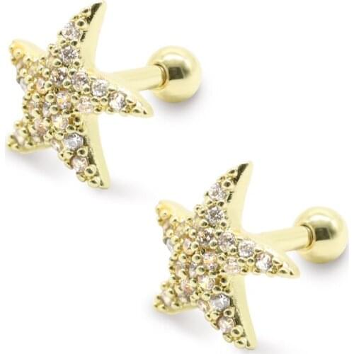 Arvin Earrings For Children