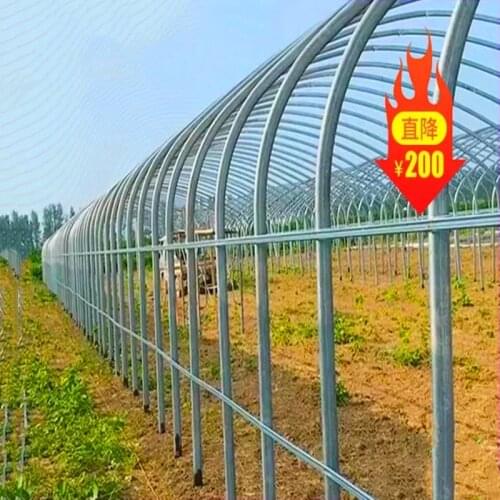 Large walk-in plant greenhouse, suitable for growing plants of all sizes