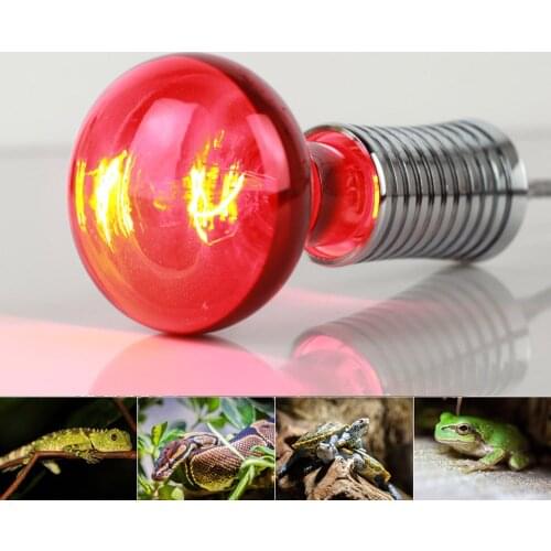 Infrared Bulb R80 E27 100W Amphibia Animal Pet Reptile Lizard Tortoise Snakes Frog Avoid Illness Heating Infrared
