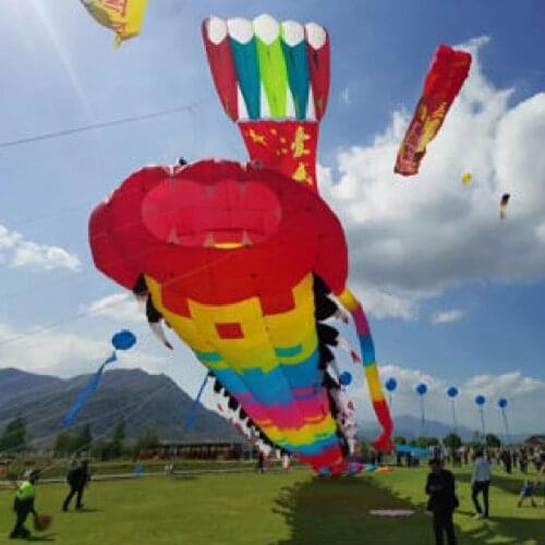Huge kite Trilobite soft wind indicator flying toy ripstop kites large flying bow ties flying fish kites for adults professional