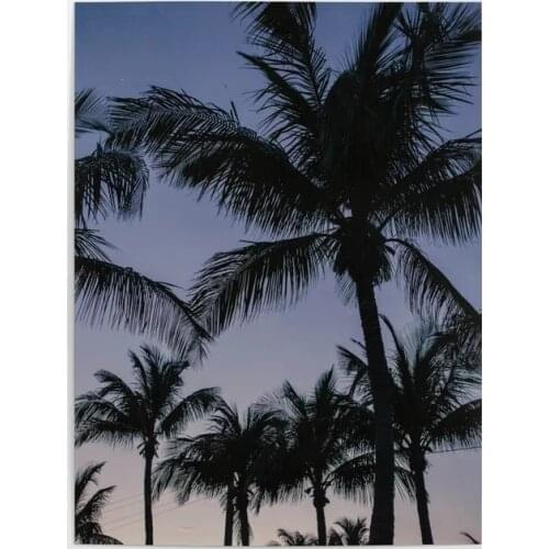 Home Decoration Hd Print Pictures Palmstrees Key West Wall Artwork Modular Plant Poster Canvas Painting For Living Room No Frame