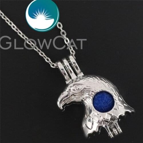 R-K629 Eagle Hawk Head Beads Cage Essential Oil Diffuser Oyster Pearl Cage Locket Pendant Necklace Kids Unisex Gift