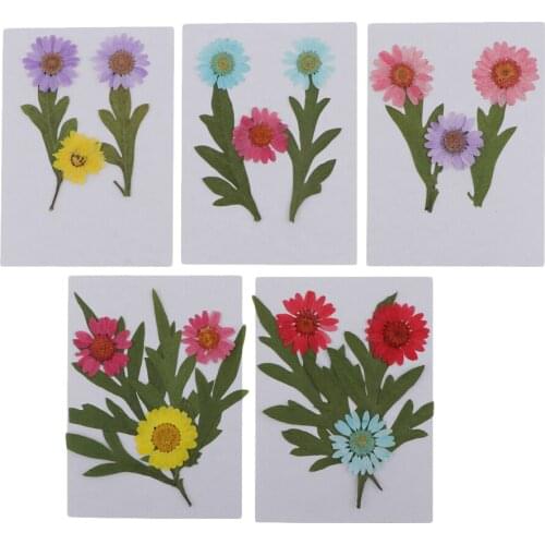 5Real Dried Flowers Leaves For DIY Epoxy Resin Casting Moulds Jewelry Crafts