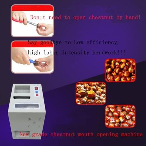 Chinese Chestnut Cutting Machine, Automatic Chestnut Mouth Opening Machine Chestnut Incision HBS-BLK-D