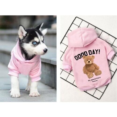 Designer Cute Dog Hoodies Warm Cottom Dog Clothes Cartoon Bear Sweatshirt For Chihuahua Teddy Small Medium Dogs Girls Costume