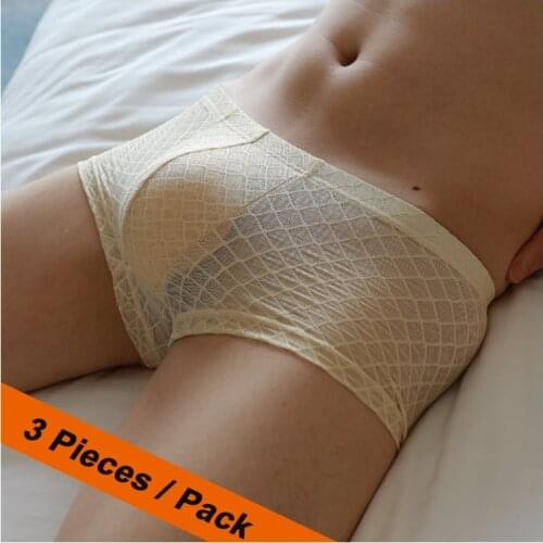 Mens Sexy Boxers New Netting Transparent Underwear Comfortable Breathable Shorts Men Mesh Slip See Through Boxers