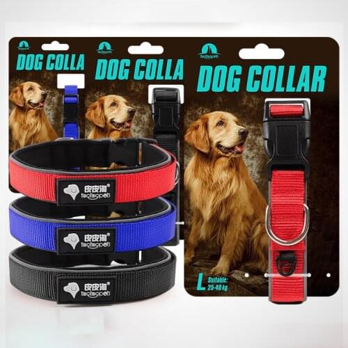 Nylon Collars Harnesses Leads Weimaraner Dog Reflective Supplies of Velcro French Bulldog Yorkshire Terrier Luxury Collar Things