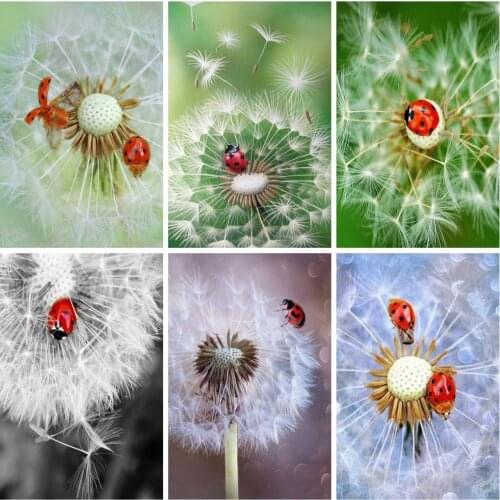 Huacan 5d Diamond Painting Dandelion Mosaic Ladybug Diamond Art Full Drill Embroidery Flower Handmade Gift