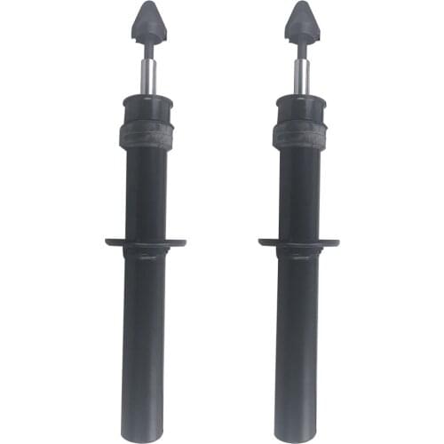 Front Left & Right Air Suspension Strut Shock Aborber For BMW X5 E70 X6 E71 31316783016