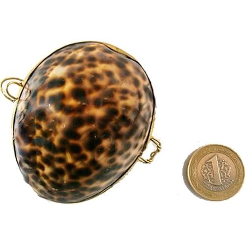 Turquoise Gift Tigris Shell Wallet