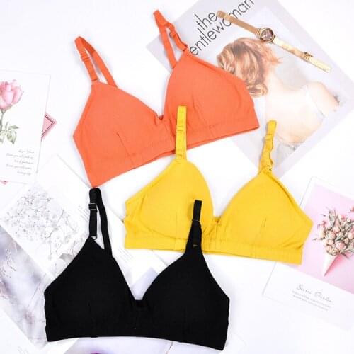 Sexy Push Up Bras For Women Wireless Bralette Sexy Lingerie Soft Seamless Adjustable Bra Brassiere Underwear Comfort Intimates