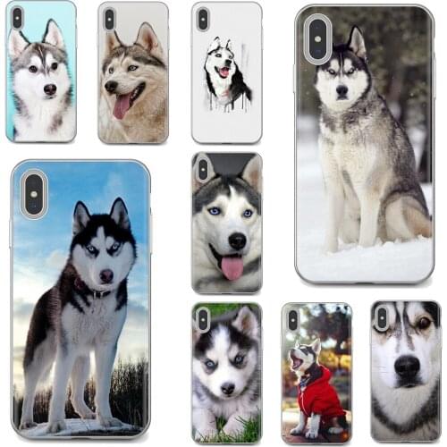 For Samsung Galaxy A10 A40 A50 A70 A3 A5 A7 A9 A8 A6 Plus 2018 2015 2016 2017 Husky Dog Adorable Silicone Phone Case