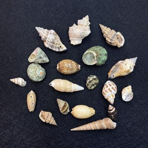 Hot Selling Exquisite Natural Shells and Conch Pendants Beach Decorative Shell Home Accessories Wind Chimes PendantsDIY Handmade