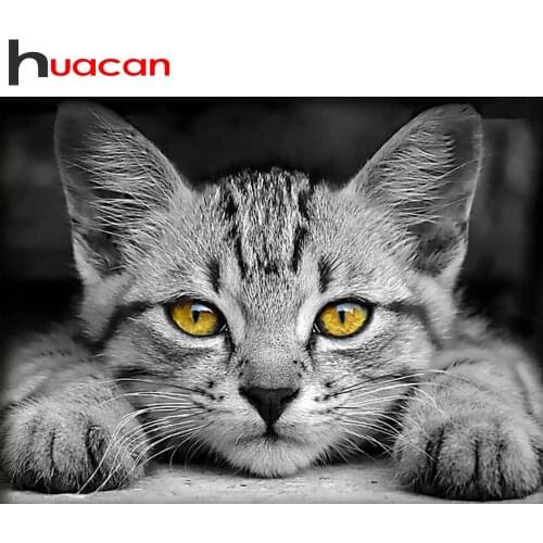 Huacan Diamond Painting Full Square/Round New Arrival Cat Diamond Embroidery Sale Animal Home Decoration