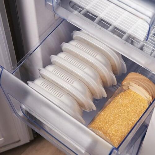 Aleekit Lunch Boxes
