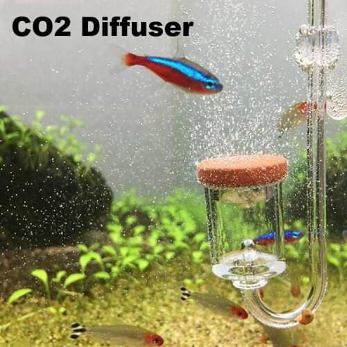 High Quality Fish Tank Transparent Bubble Counter Atomizer For Aquarium Water Plants Co2 Cylinder Diffuser Resolver