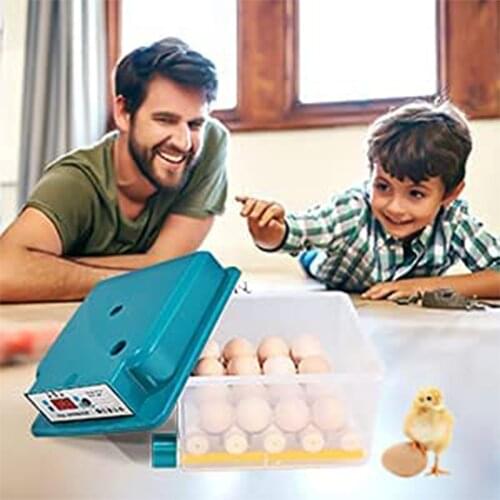 Incubator For Eggs Automatic Brooding Machine Chicken Hatchery Poultry Automatically Control Farm Incubator Controller Brooder