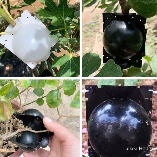 5PCS/Set Garden Plant High Pressure Breeding Box 2020 New Plant Rooting Ball Grafting Rooting Growth Box Breeding Boxes