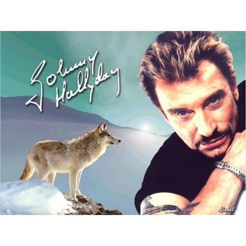 5D Diy Square&round 5d Diamond Painting Claude Francois Crystal Painting Full Diamonds Decorative Diy Diamond Embroidery Kits