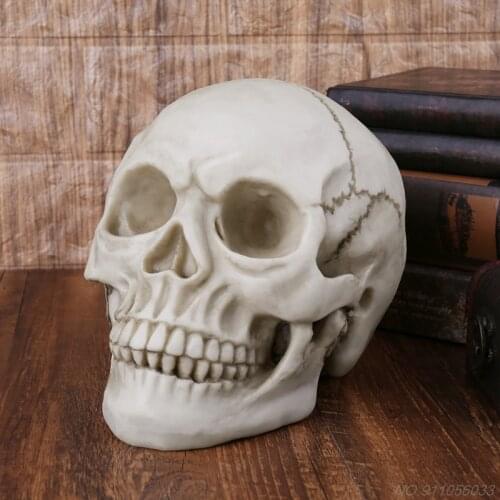 Resin Art Human Skull Replica Teaching Model Realistic 1:1 Adult Size D09 20 Dropshipping