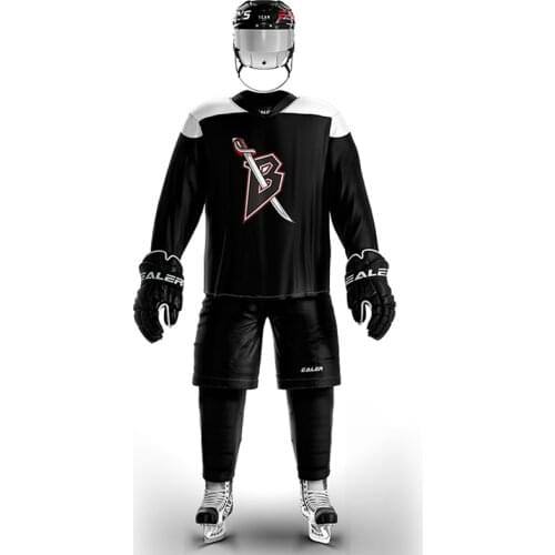 Cool hockey ice hockey jerseys with team logo accept custom name and number H6100