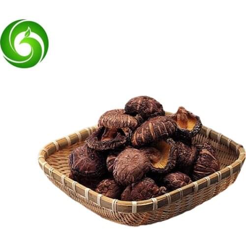 Organic buy dried chanterelle button mushrooms for preferential price