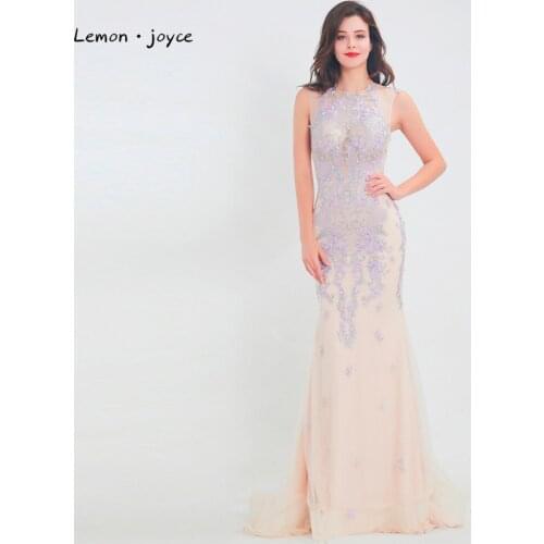 Lemon joyce New 2020 Illusion Mermaid Evening Dresses Long Tulle Embroidery Beaded Floor Length Clothing Dress Gowns Plus Size