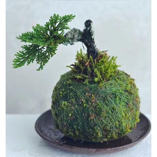 2021 New Moss Ball Pot Bird Nest Flower Plant Home Office Desk Table Garden DIY Decoration