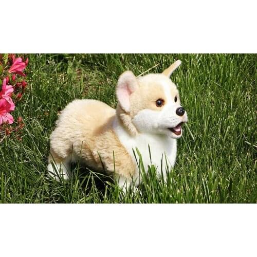 New toy simulation corgi cartoon dog plush toy 30x21cm soft doll kids toy birthday gift b0928