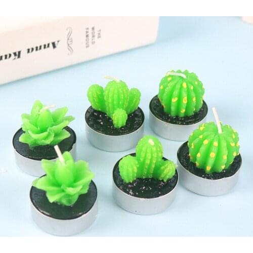 Creative and lovely simulation home plant candle cactus fleshy candle romantic home decoration crafts cake topper happy birthday
