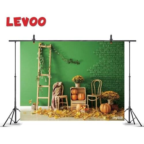 LEVOO Autumn Interior Backdrop Wooden Furniture Pumpkins Green Wall Baby Photo Booth Photozone Vinyl Photographic Background