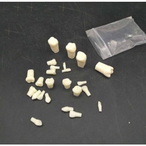 28 PCS / Bag High Quality Resin Simulation Tooth Grain Dental Model For Dentist Exam Preparation Teaching Free Shipping
