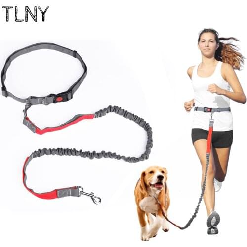 TNLY Outdoor Reflective Leash Traction Rope Pet Dog Running Belt Elastic Hands Free Jogging Pull Dog Leash Metal D-ring Leashes
