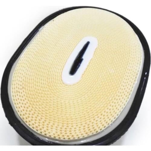 BHC5058 Air Filter M313D M322D replace CP29550 49501