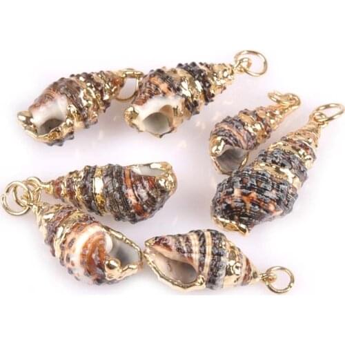 5pcs Natural Spiral Shell Gold Plated For DIY Handmade Scrapbooking Crafts Home Decoration Pendant SeaShells 18-25mm TR0218X