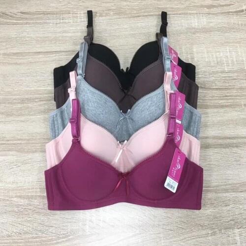 New Lingerie Soft Support Steel Ring Girls Sexy Push Up Bra Simple And Comfortable Two-Row Underwear Women