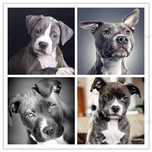 Jenkins Full Round/square Animal Drill Dog Picture Cross Stitch Needlework Embroidery Rhinestone Home Art Diamond Painting