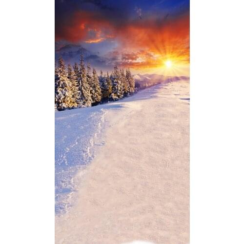 VinylBDS Winter Snow Theme Snow photography Backdrop Cedar Backdrops Evening Sunset Wedding Photo Backdrops CUSTOMIZE