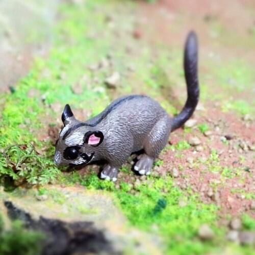 Wild Animal Action Figures Collection PVC Kids Gift Sugar Glider/Squirrel Animals Model Action Figure