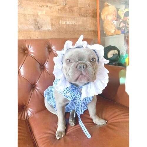 Pet Clothes Bulk Spring And Summer New Dog And Cat Parent-child Dress Suit Fat Dog Fighting Schnauzer Cats And Dogs Clothing