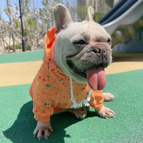 Dog Hoodies Spring Autumn Pet Dog Clothes Sweatshirt Pomeranian Poodle Bichon Schnauzer Pug French Bulldog Corgi Clothing Coat